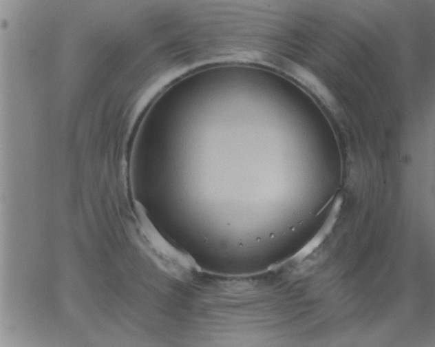 X0000062891332200601201836