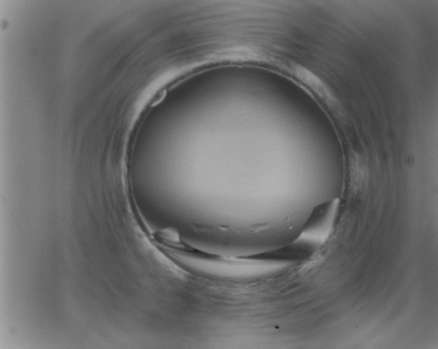 X0000062891334200601201836