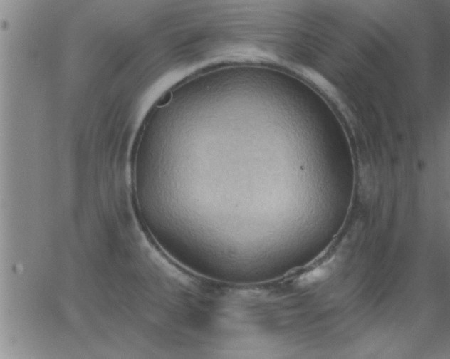 X0000062891335200601201836