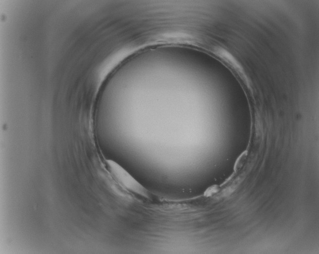 X0000062891336200601201836