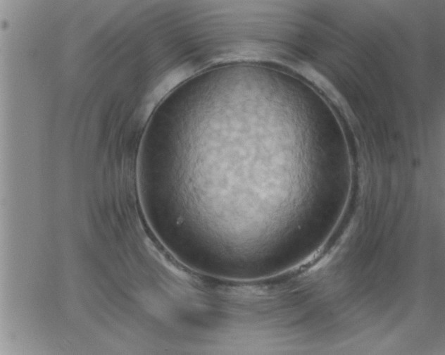 X0000062891337200601201836