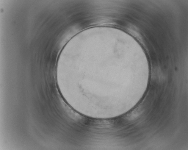 X0000062891338200601201836