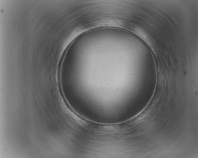 X0000062891339200601201836