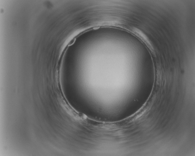 X0000062891340200601201836