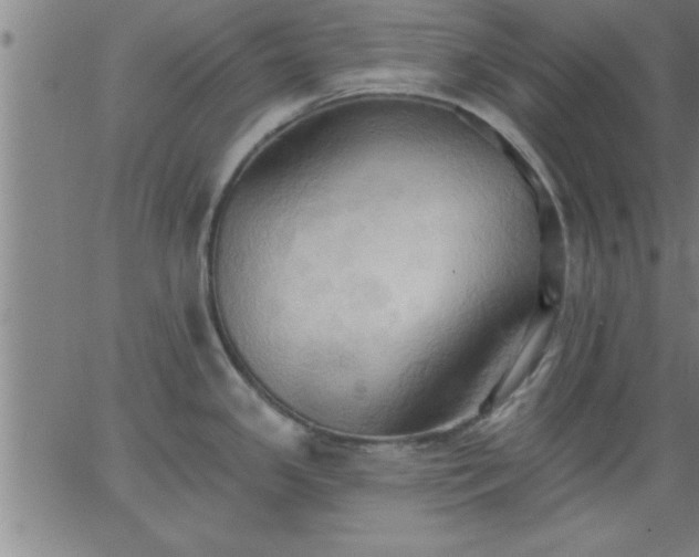 X0000062891341200601201836