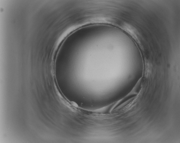 X0000062891342200601201836