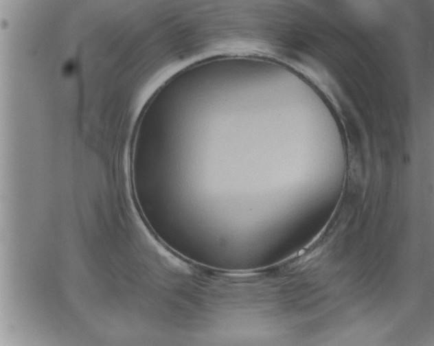 X0000062891343200601201836