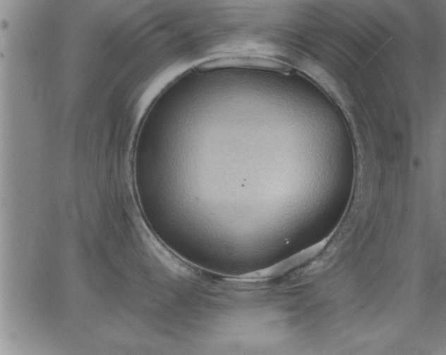 X0000062891344200601201836