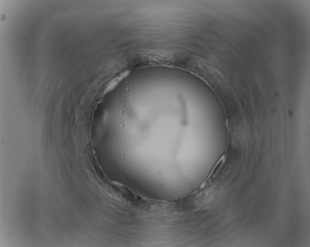 X0000062891345200601201835