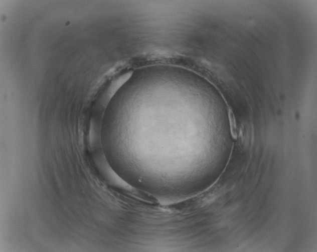 X0000062891348200601201835