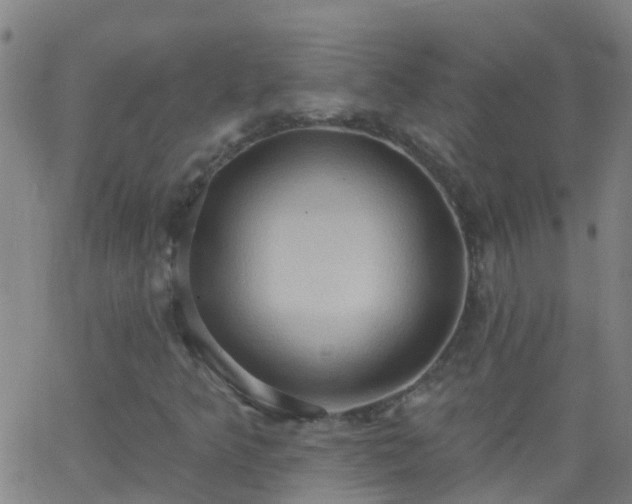 X0000062891349200601201835