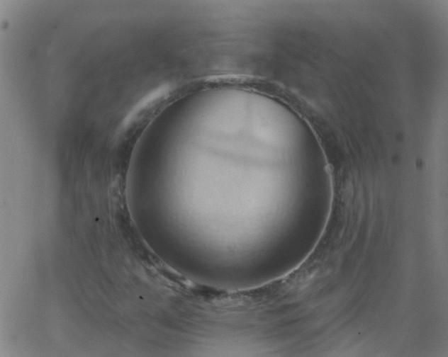 X0000062891351200601201835