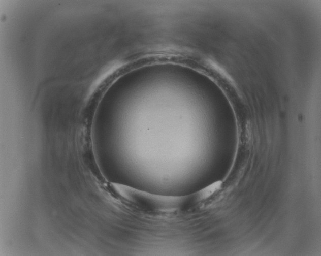 X0000062891352200601201835