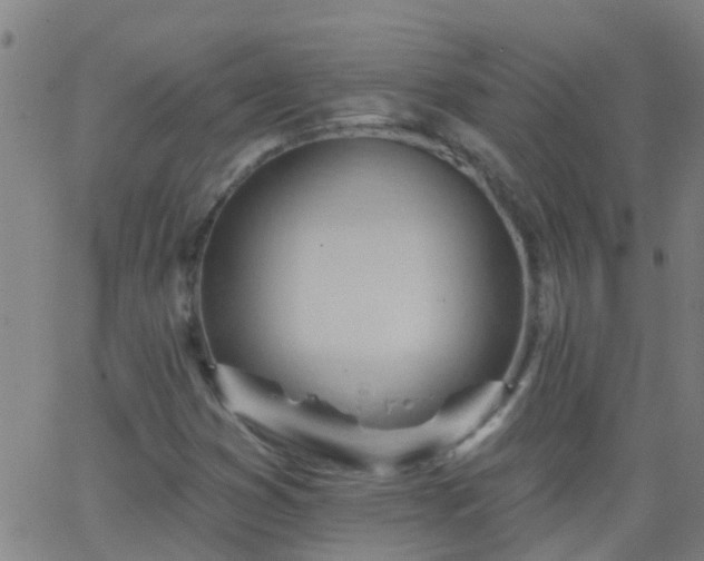 X0000062891353200601201835