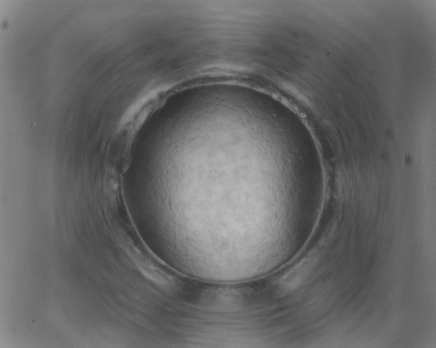 X0000062891355200601201835