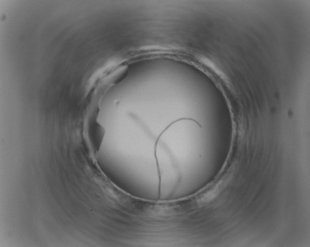 X0000062891357200601201835