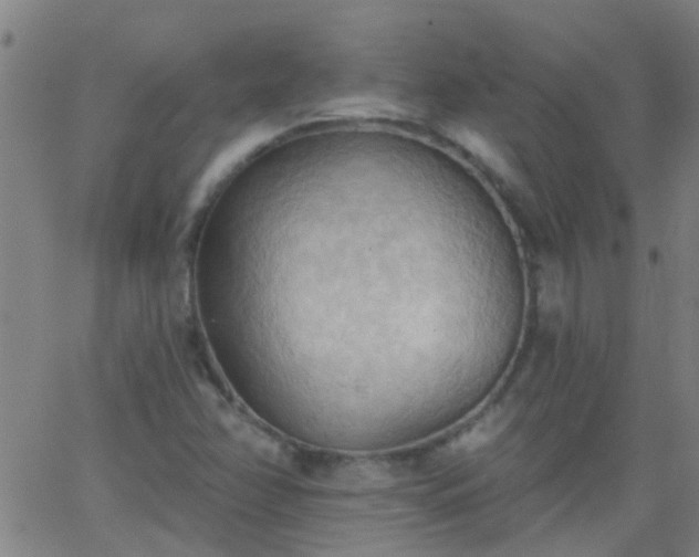 X0000062891358200601201835