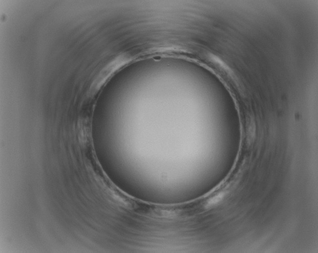 X0000062891361200601201835