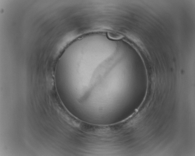 X0000062891363200601201835