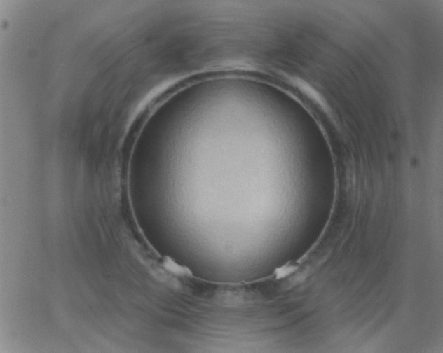 X0000062891364200601201835