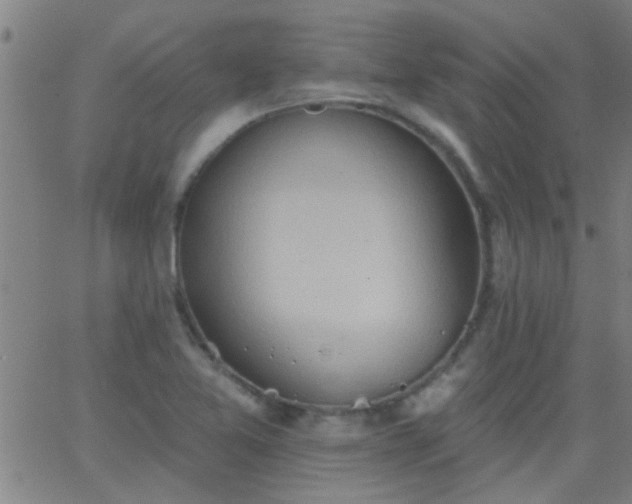 X0000062891365200601201835