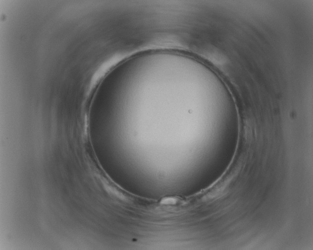 X0000062891366200601201835