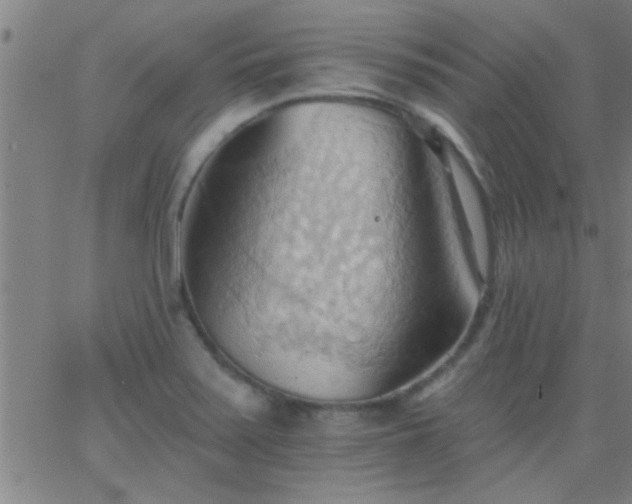 X0000062891371200601201835