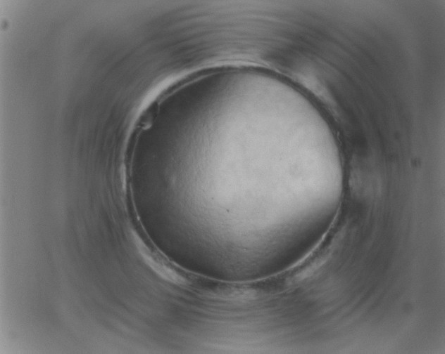 X0000062891372200601201835