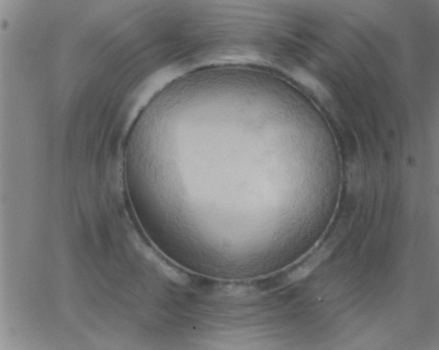 X0000062891374200601201835