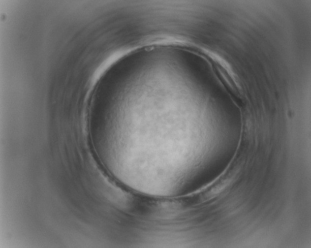 X0000062891375200601201835