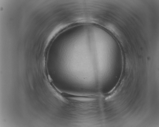 X0000062891376200601201835