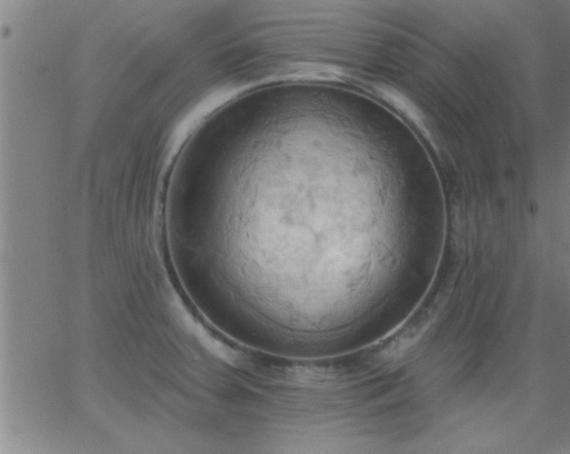 X0000062891379200601201835