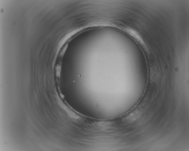 X0000062891380200601201835