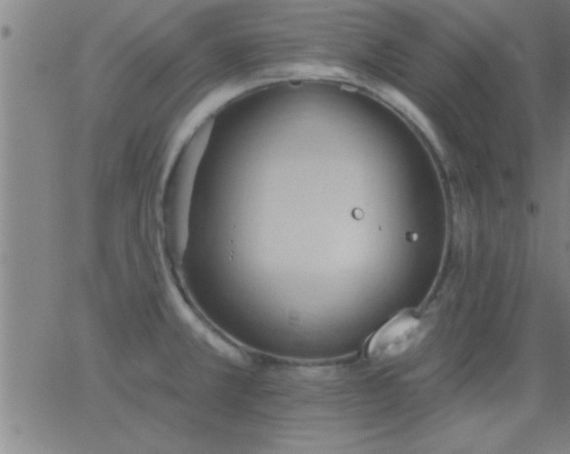 X0000062891381200601201835