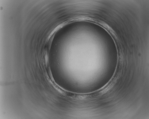 X0000062891385200601201835