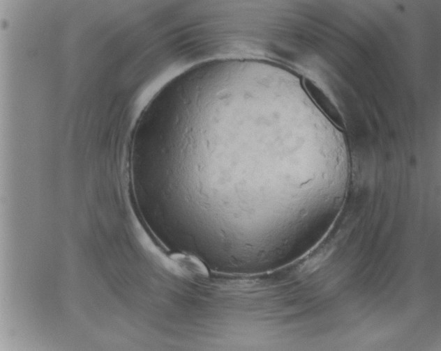 X0000062891387200601201835