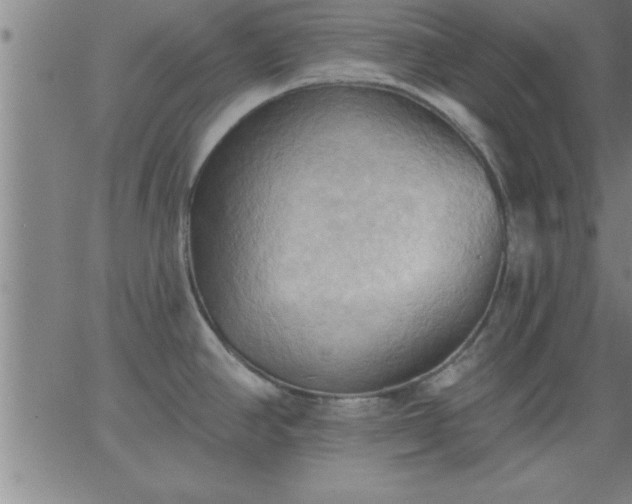 X0000062891390200601201835