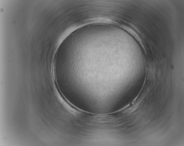 X0000062891391200601201834