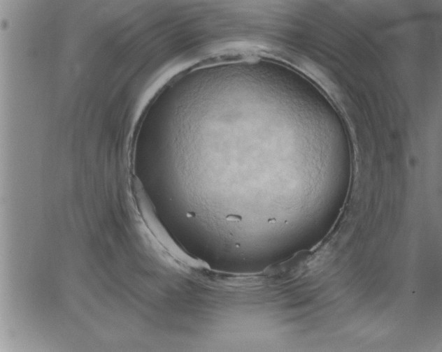 X0000062891392200601201834