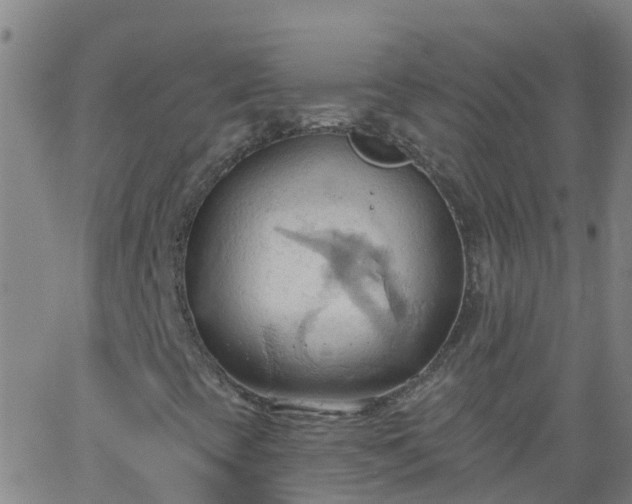 X0000062891393200601201834