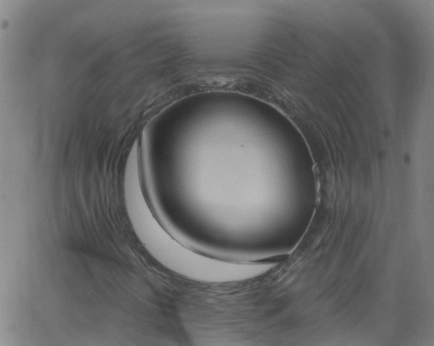 X0000062891394200601201834