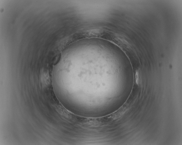 X0000062891395200601201834