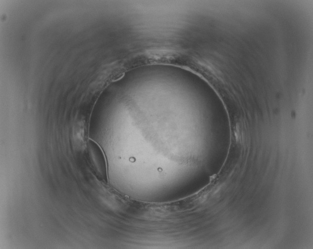 X0000062891396200601201834