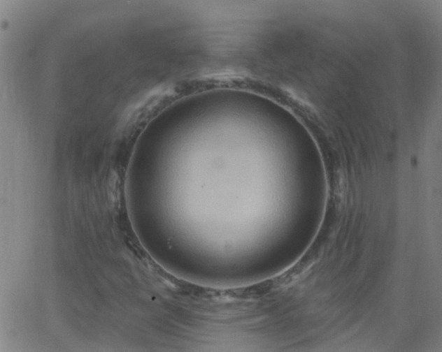 X0000062891398200601201834