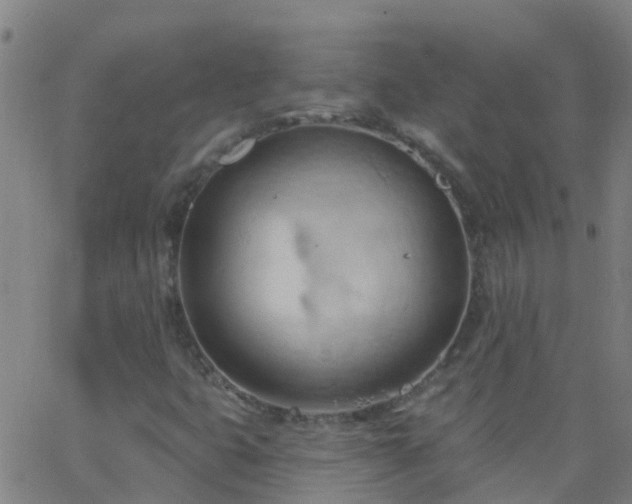 X0000062891399200601201834