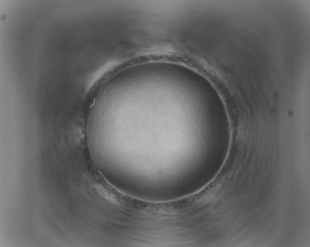 X0000062891400200601201834