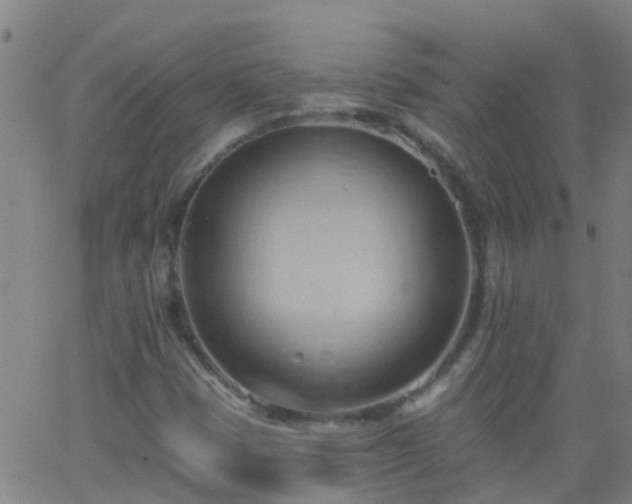 X0000062891401200601201834