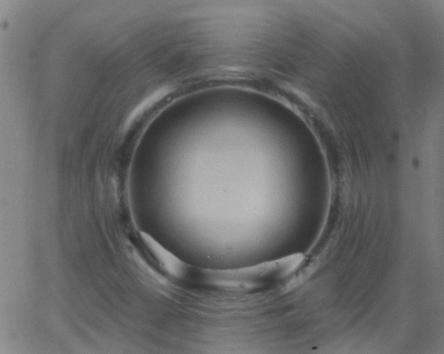 X0000062891402200601201834