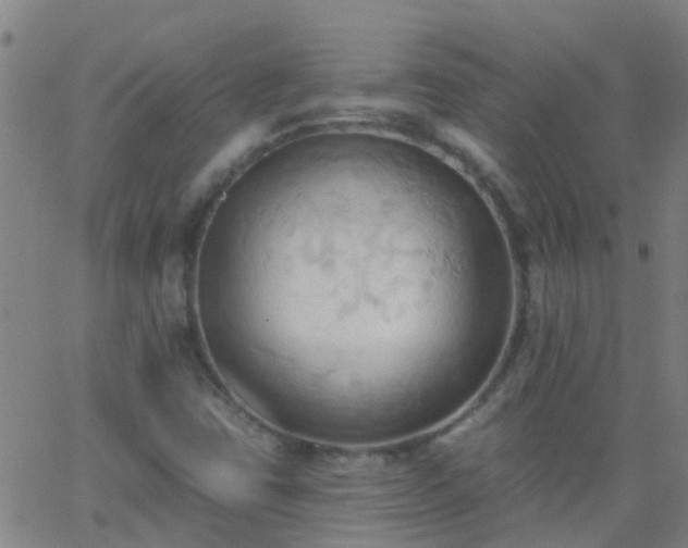 X0000062891403200601201834