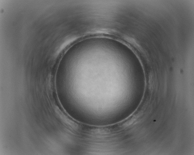 X0000062891404200601201834